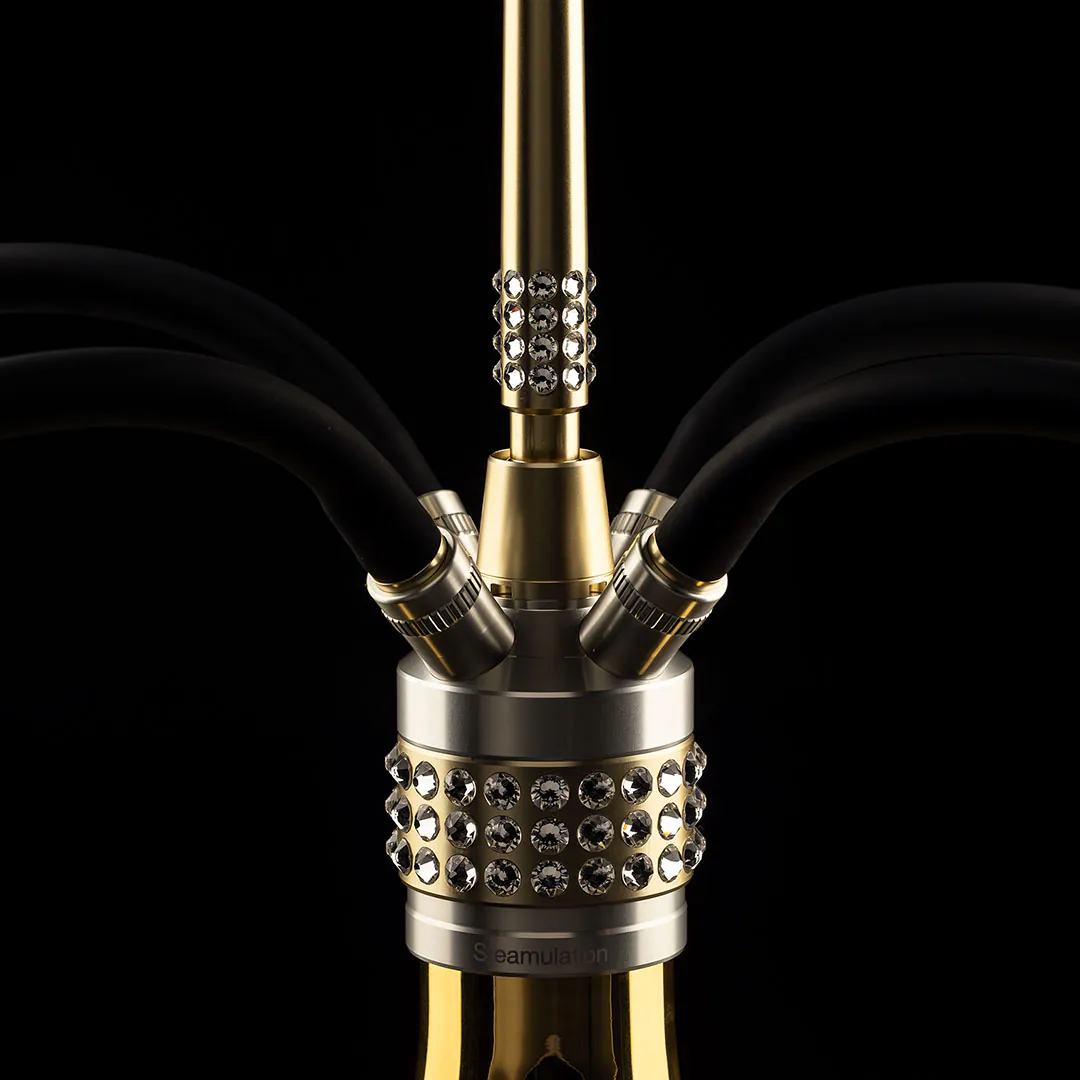 Steamulation Exclusive Gen.II 13